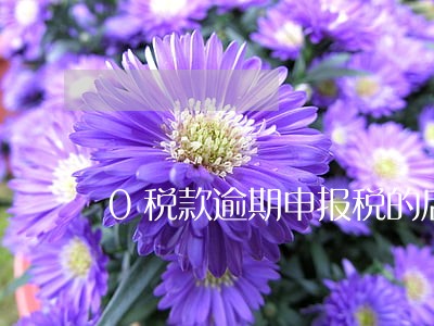 0税款逾期申报税的后果 0税款逾期申报税的后果