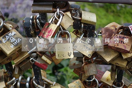 0逾期为什么全部网贷都借不了 0逾期为什么全部网贷都借不了