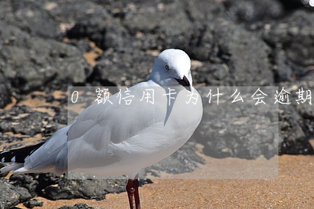 0额信用卡为什么会逾期 0额信用卡为什么会逾期