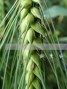 0额度贷记卡逾期房贷 0额度贷记卡逾期房贷