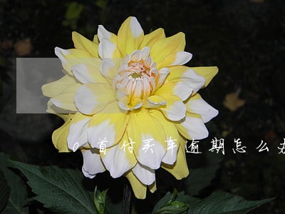 0首付买车逾期怎么办 0首付买车逾期怎么办