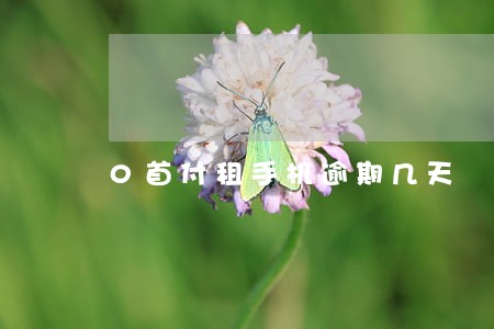 0首付租手机逾期几天 0首付租手机逾期几天
