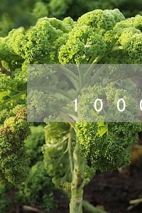 10000信用卡逾期十年 10000信用卡逾期十年