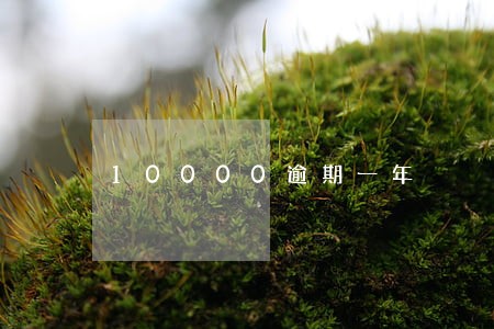 10000逾期一年