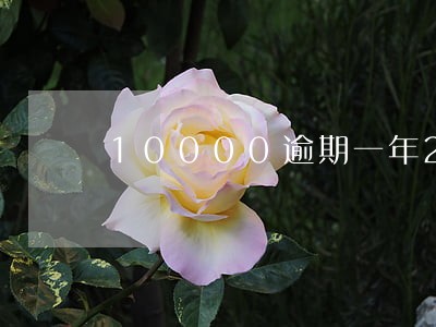 10000逾期一年2万