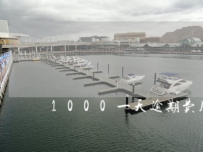 1000一天逾期费用是20 1000一天逾期费用是20