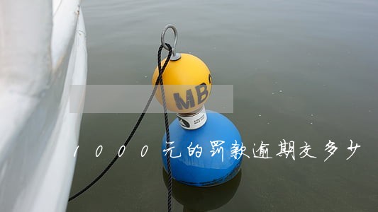 1000元的罚款逾期交多少 1000元的罚款逾期交多少