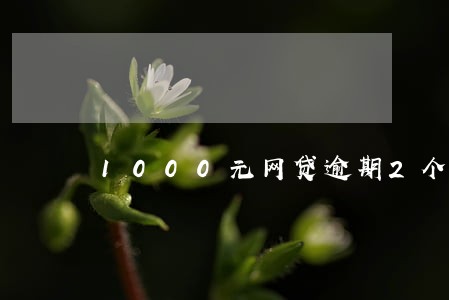 1000元网贷逾期2个月 1000元网贷逾期2个月