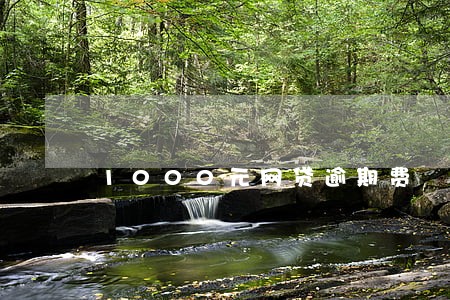 1000元网贷逾期费 1000元网贷逾期费