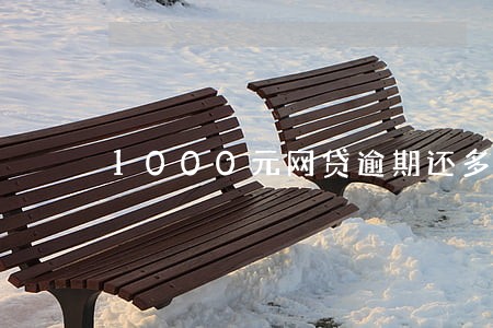 1000元网贷逾期还多少 1000元网贷逾期还多少