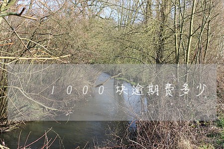 1000块逾期费多少 1000块逾期费多少
