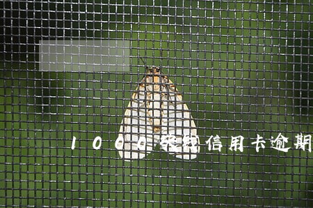1000块钱信用卡逾期4天 1000块钱信用卡逾期4天
