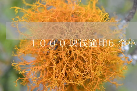 1000块钱逾期6个小时 1000块钱逾期6个小时