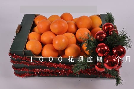 1000花呗逾期一个月还多少 1000花呗逾期一个月还多少