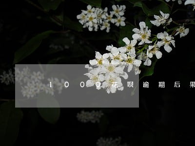 1000花呗逾期后果 1000花呗逾期后果