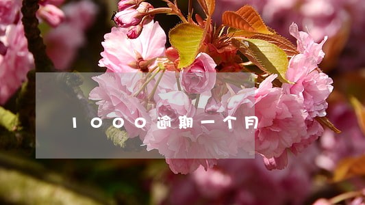 1000逾期一个月 1000逾期一个月