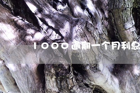 1000逾期一个月利息是多少
