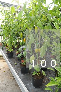 1000逾期三年要8000 1000逾期三年要8000