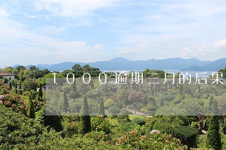 1000逾期三月的后果 1000逾期三月的后果