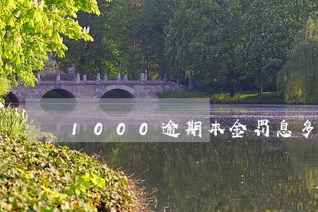 1000逾期本金罚息多少 1000逾期本金罚息多少