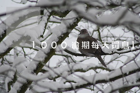1000逾期每天罚息10元 1000逾期每天罚息10元