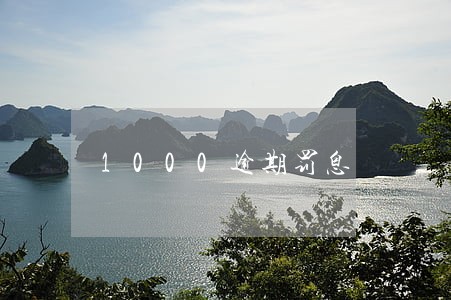 1000逾期罚息