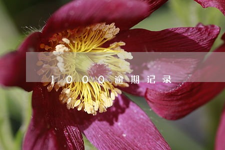 1000逾期记录 1000逾期记录