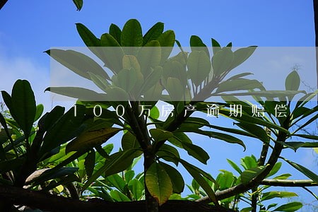 100万房产逾期赔偿 100万房产逾期赔偿