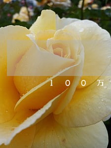 100万房子律师费用 100万房子律师费用