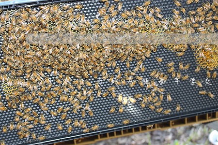 100万的房租每年要交多少税 100万的房租每年要交多少税