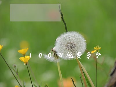 100万税费多少 100万税费多少