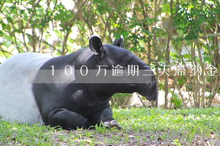 100万逾期三天滞纳金要多少 100万逾期三天滞纳金要多少