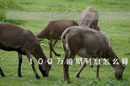 100万逾期利息怎么算 100万逾期利息怎么算