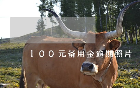 100元备用金逾期照片 100元备用金逾期照片