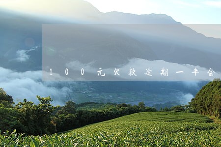 100元欠款逾期一年会怎么样 100元欠款逾期一年会怎么样