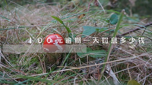 100元逾期一天罚息多少钱 100元逾期一天罚息多少钱