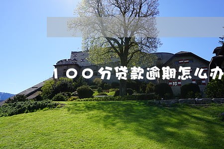 100分贷款逾期怎么办