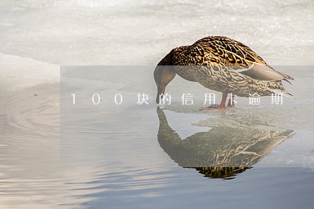 100块的信用卡逾期 100块的信用卡逾期