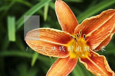 100块钱删逾期记录 100块钱删逾期记录