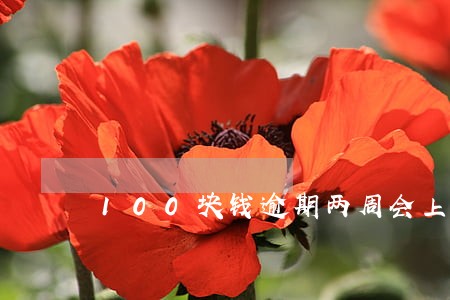 100块钱逾期两周会上征信吗 100块钱逾期两周会上征信吗