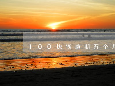 100块钱逾期五个月 100块钱逾期五个月
