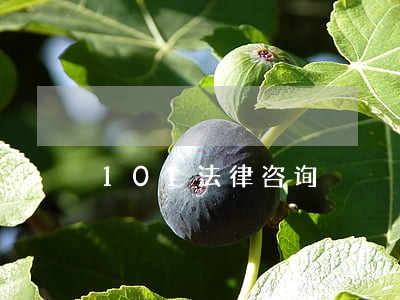 101法律咨询 101法律咨询