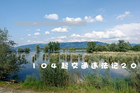 104起交通违法记200分 104起交通违法记200分