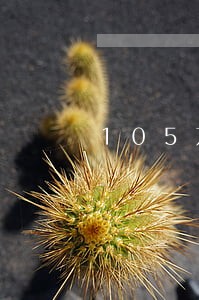 105万标的诉讼费多少钱 105万标的诉讼费多少钱