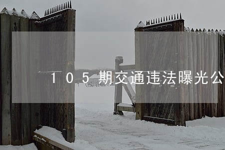 105期交通违法曝光公告 105期交通违法曝光公告