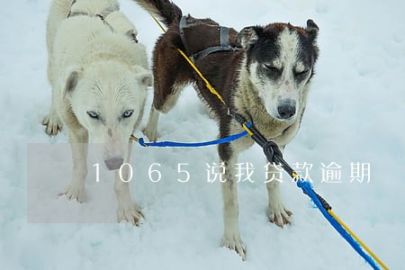 1065说我贷款逾期 1065说我贷款逾期