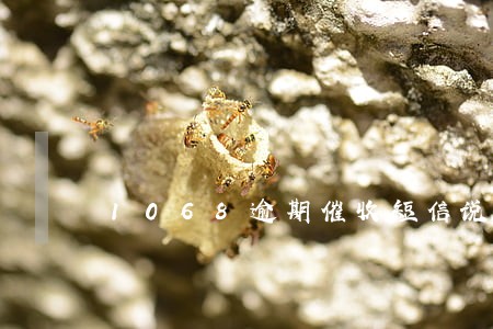 1068逾期催收短信说上门 1068逾期催收短信说上门