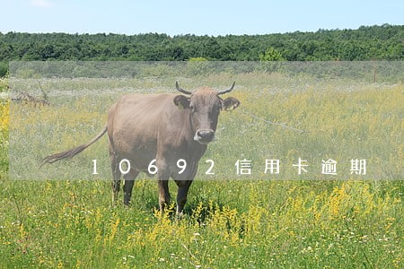 10692信用卡逾期 10692信用卡逾期