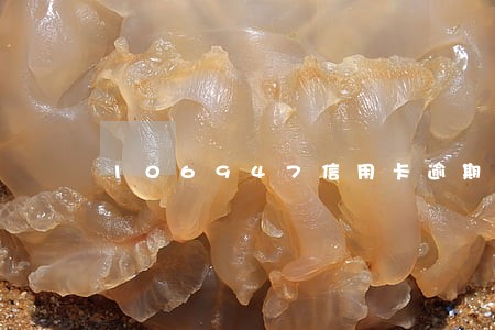 106947信用卡逾期短信 106947信用卡逾期短信