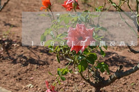 1069卡贷逾期说两天内上门 1069卡贷逾期说两天内上门